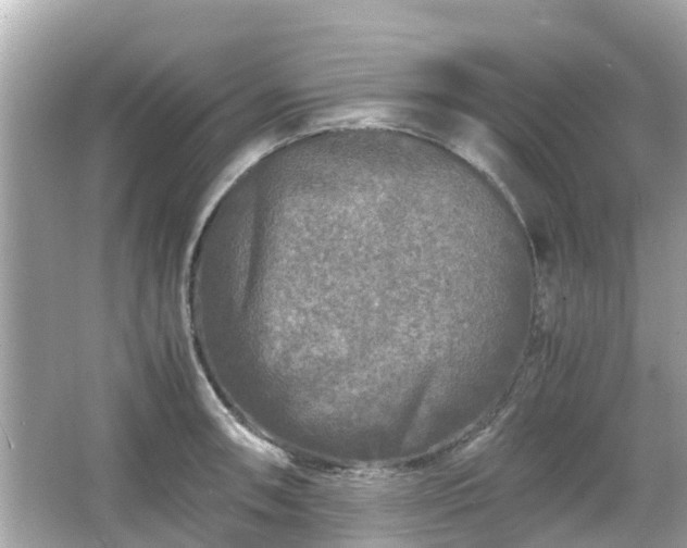 X0000066001090200603101524