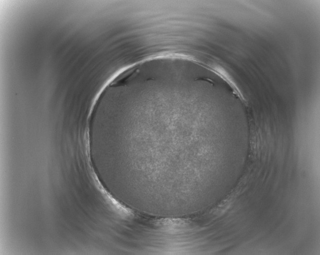 X0000066001092200603101524