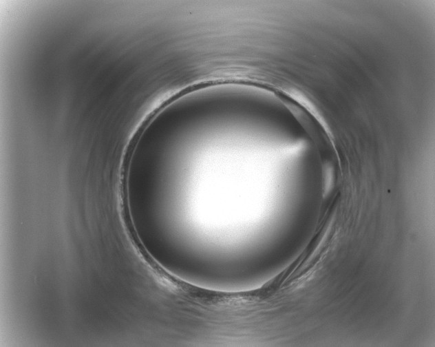 X0000066001093200603101524