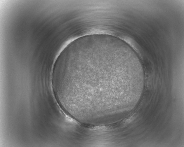 X0000066001094200603101524