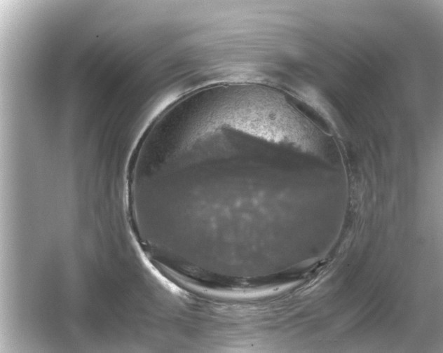 X0000066001095200603101524