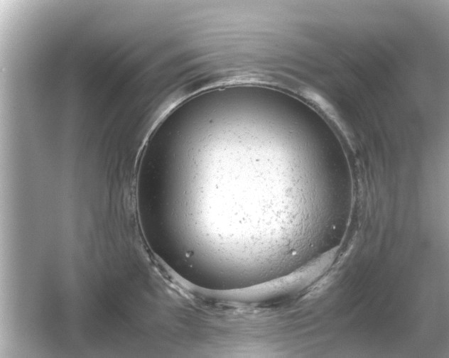 X0000066001097200603101524