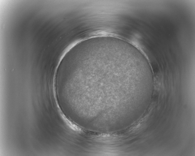 X0000066001098200603101524