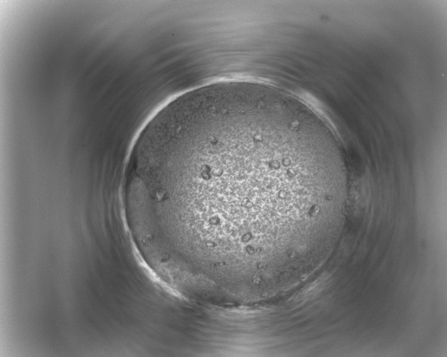 X0000066001100200603101524