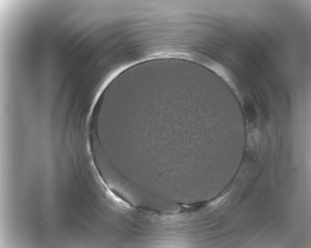 X0000066001102200603101524