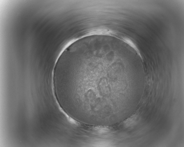 X0000066001103200603101524