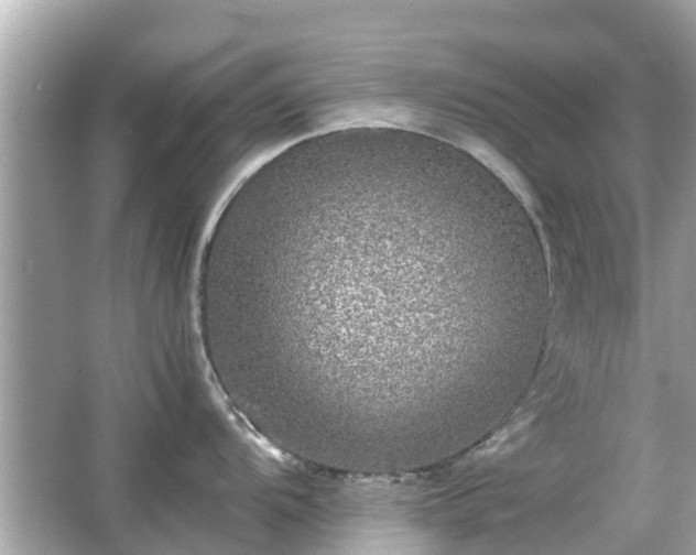 X0000066001104200603101524