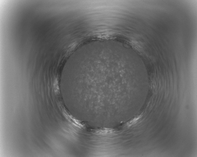 X0000066001106200603101523