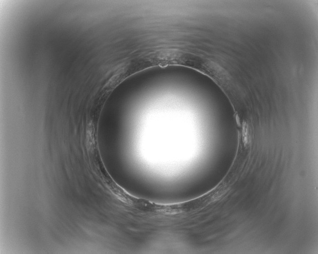 X0000066001107200603101523