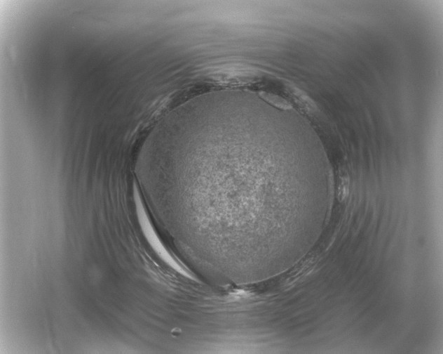 X0000066001108200603101523