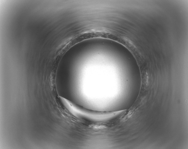 X0000066001110200603101523