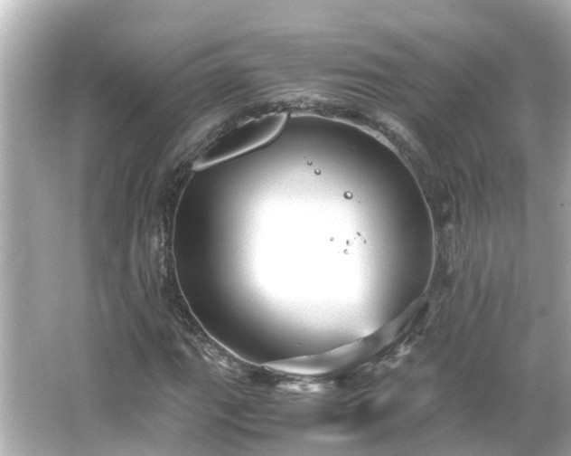 X0000066001111200603101523