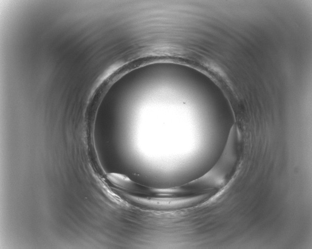 X0000066001114200603101523