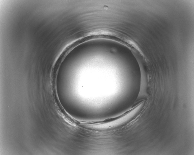 X0000066001116200603101523