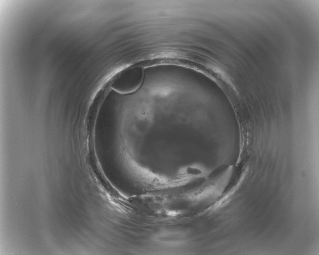 X0000066001117200603101523