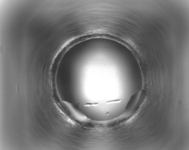 X0000066001118200603101523