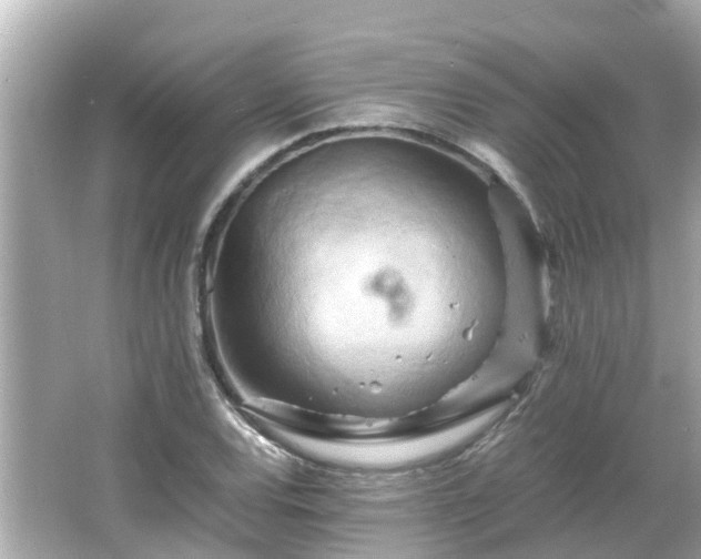 X0000066001120200603101523