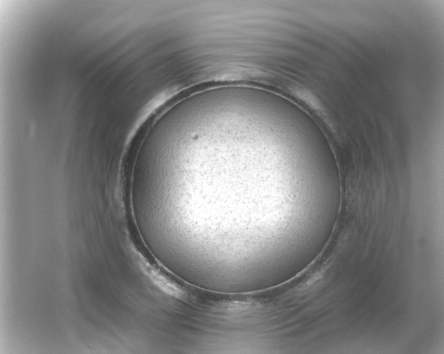 X0000066001122200603101523