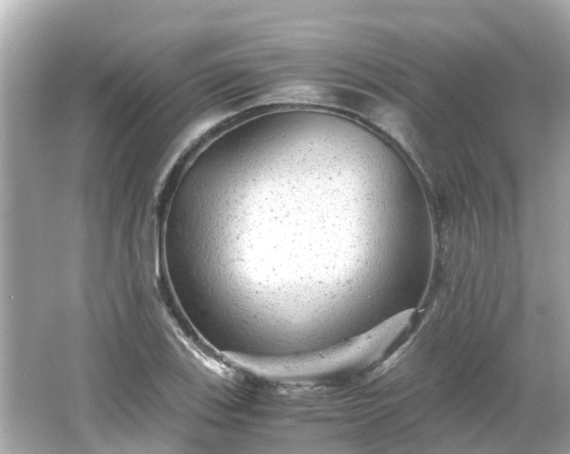 X0000066001123200603101523