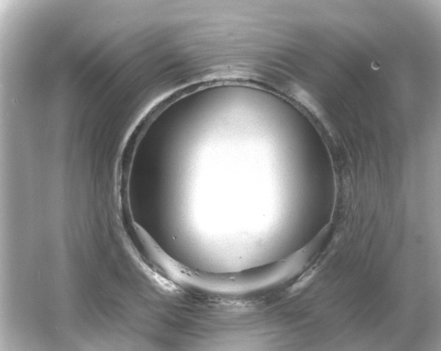 X0000066001124200603101523