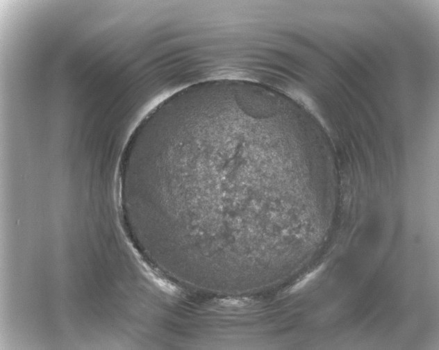 X0000066001125200603101523