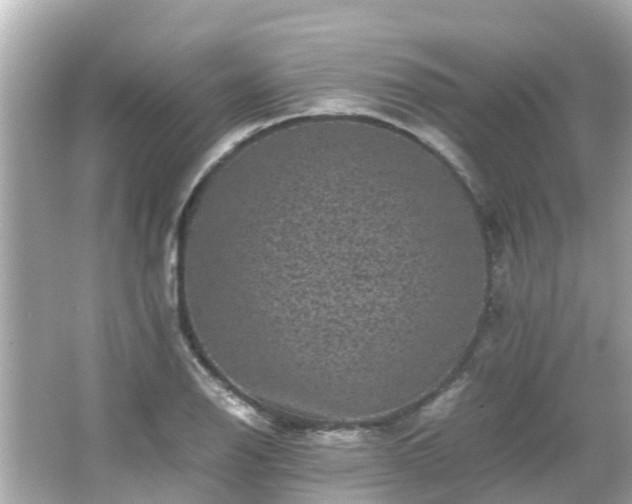 X0000066001126200603101523