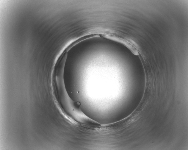 X0000066001128200603101523