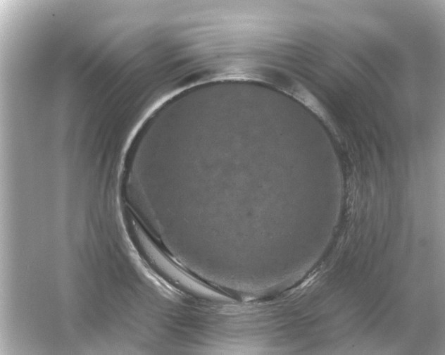 X0000066001132200603101524