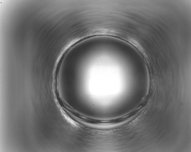 X0000066001136200603101524