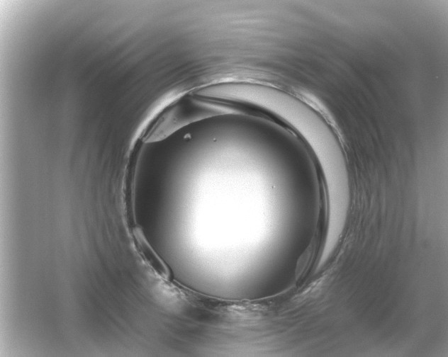 X0000066001138200603101524