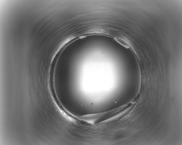 X0000066001139200603101524