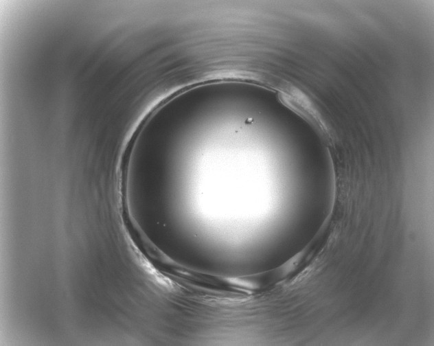 X0000066001140200603101524