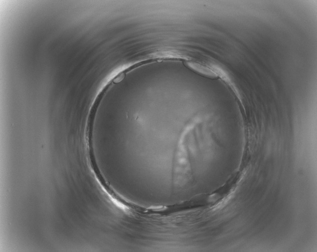 X0000066001141200603101524