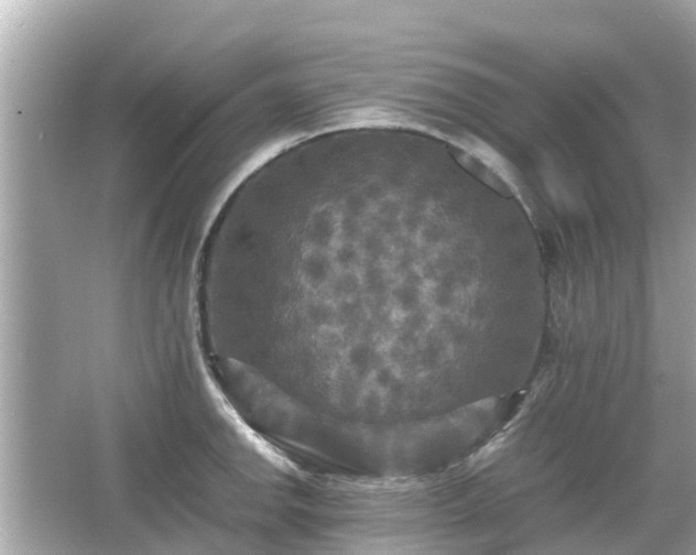 X0000066001142200603101524