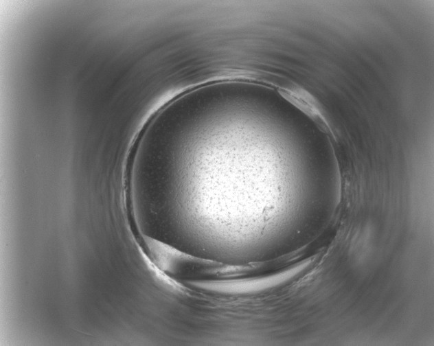 X0000066001143200603101524