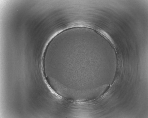 X0000066001144200603101524