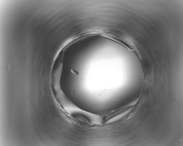 X0000066001146200603101524