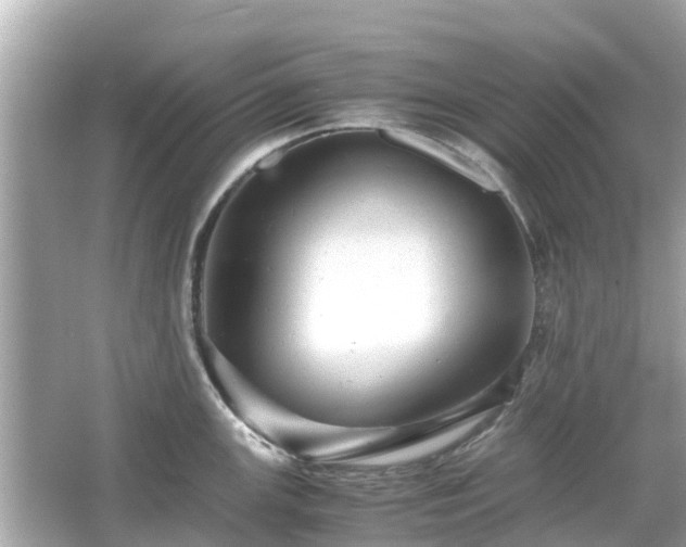 X0000066001147200603101524