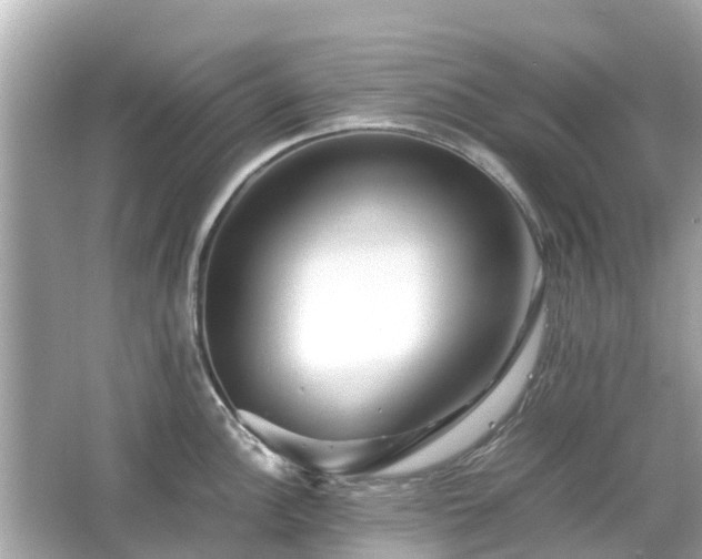 X0000066001148200603101524