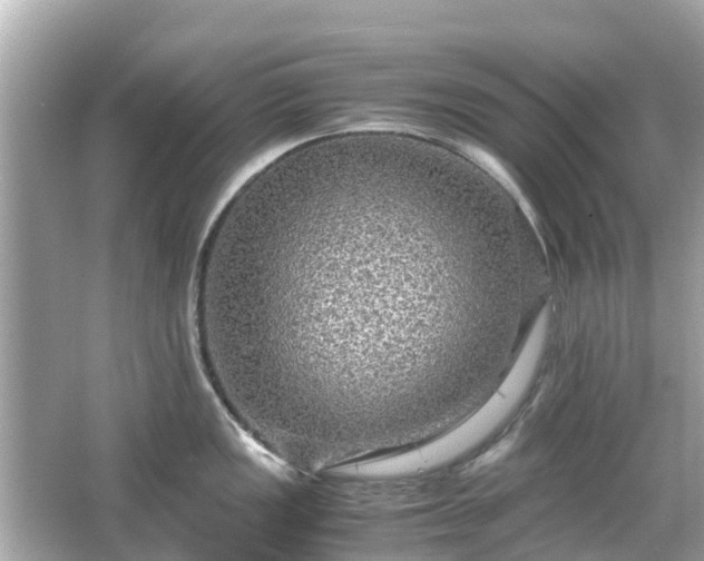 X0000066001149200603101524