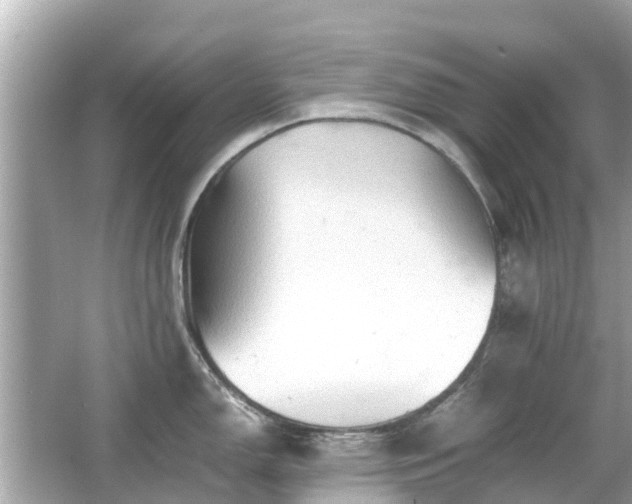 X0000066001150200603101524