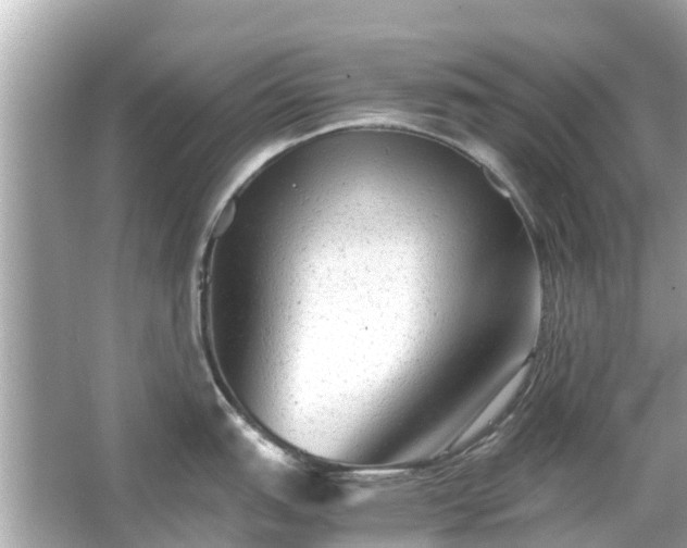 X0000066001151200603101524