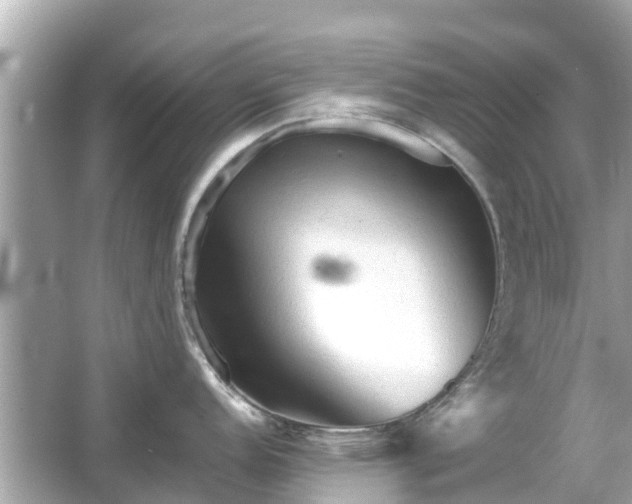 X0000066001152200603101524