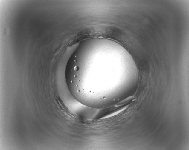 X0000066001153200603101523