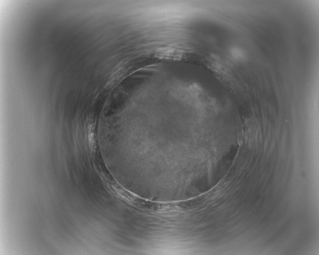 X0000066001154200603101523