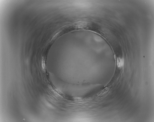 X0000066001155200603101523