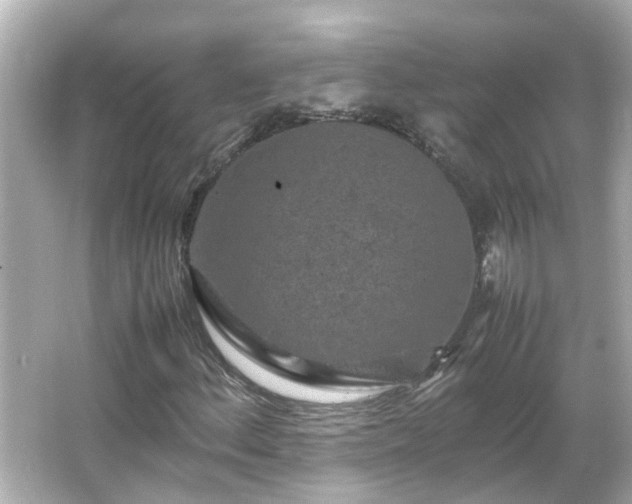 X0000066001156200603101523