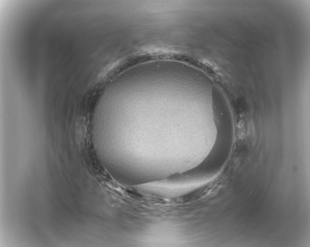 X0000066001157200603101523