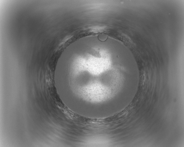 X0000066001158200603101523