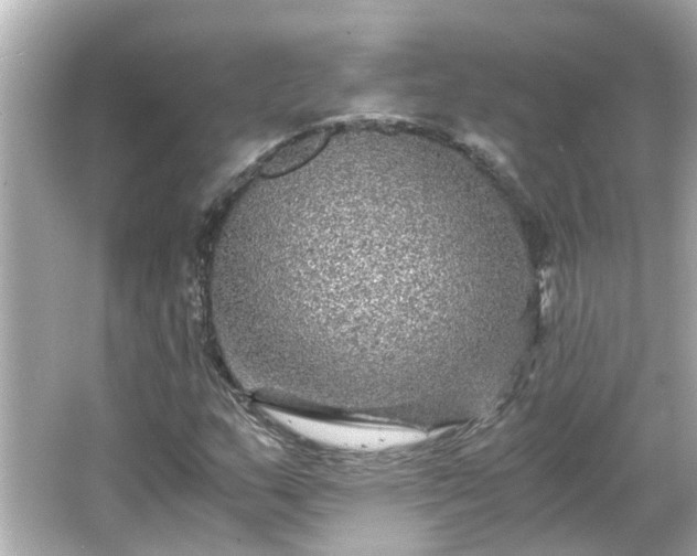 X0000066001159200603101523